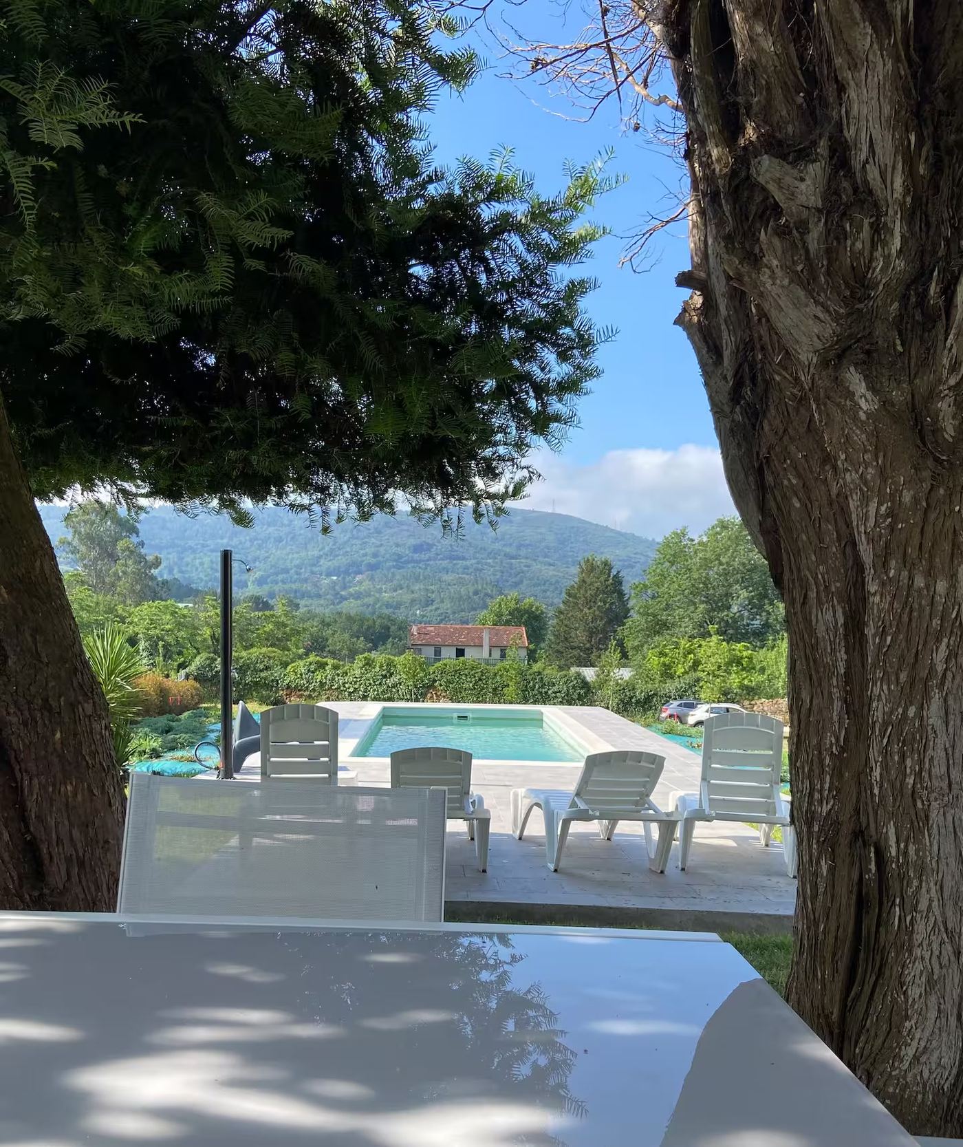 Vista piscina desde jardín